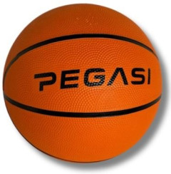 Basketbal Pegasi maat 5